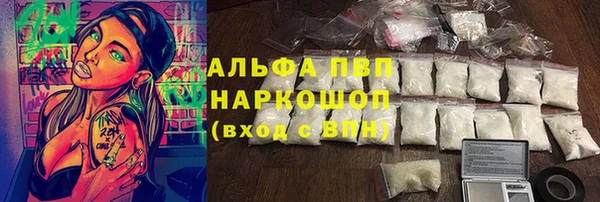 СК Бородино